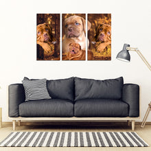 Load image into Gallery viewer, Bordeaux Mastiff Print- Piece Framed Canvas- Free Shipping