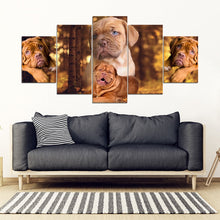 Load image into Gallery viewer, Bordeaux Mastiff Print- Piece Framed Canvas- Free Shipping