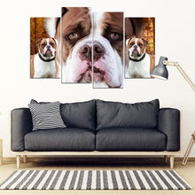 Load image into Gallery viewer, American Bulldog Print- 5 Piece Framed Canvas- Free Shipping