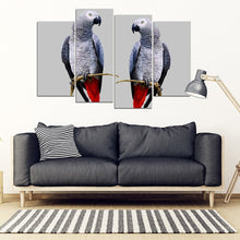 Load image into Gallery viewer, African Grey Parrot (The Grey Parrot ) Print 5 Piece Framed Canvas- Free Shipping