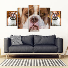 Load image into Gallery viewer, American Bulldog Print- 5 Piece Framed Canvas- Free Shipping