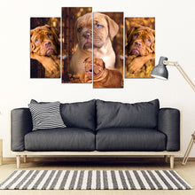 Load image into Gallery viewer, Bordeaux Mastiff Print- Piece Framed Canvas- Free Shipping