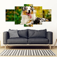 Load image into Gallery viewer, Australian Shepherd Dog Print New 5 Piece Framed Canvas- Free Shipping
