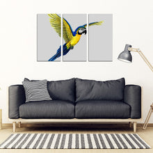 Load image into Gallery viewer, Blue And Yellow Macaw Parrot Print 5 Piece Framed Canvas- Free Shipping