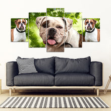 Load image into Gallery viewer, American Bulldog Print- Piece Framed Canvas- Free Shipping