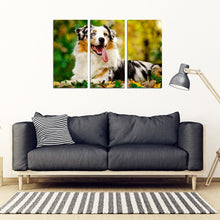 Load image into Gallery viewer, Australian Shepherd Dog Print New 5 Piece Framed Canvas- Free Shipping