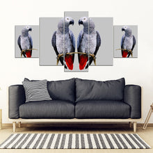 Load image into Gallery viewer, African Grey Parrot (The Grey Parrot ) Print 5 Piece Framed Canvas- Free Shipping