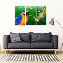 Load image into Gallery viewer, Blue And Yellow Macaw Parrot (Blue And Gold Macaw ) Print 5 Piece Framed Canvas- Free Shipping