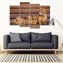 Load image into Gallery viewer, Bordeaux Mastiff Print- Piece Framed Canvas- Free Shipping