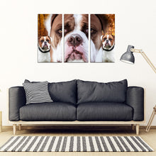 Load image into Gallery viewer, American Bulldog Print- 5 Piece Framed Canvas- Free Shipping