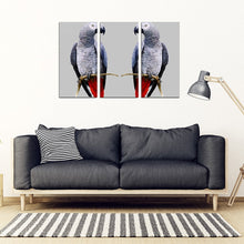 Load image into Gallery viewer, African Grey Parrot (The Grey Parrot ) Print 5 Piece Framed Canvas- Free Shipping
