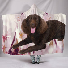 Load image into Gallery viewer, American Water Spaniel Print Hooded Blanket-Free Shipping